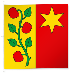 Zürich-Affoltern