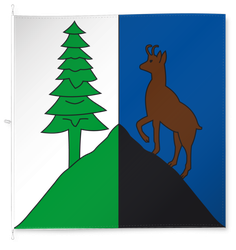 Roche