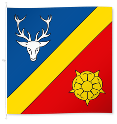 Servion