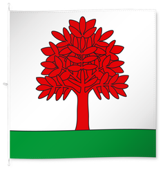 Buch am Irchel