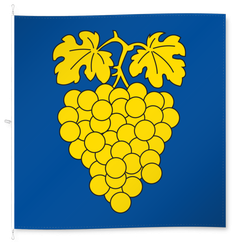 Perroy