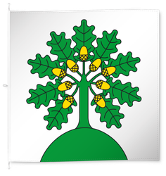 Montanaire