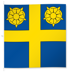 Eysins