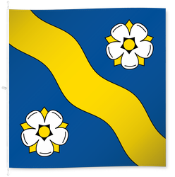 Gamprin