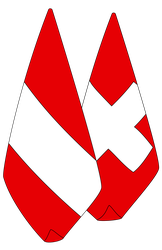 Fahne AMBASSADOR