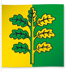 Mirchel Neu
