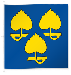 Baldingen