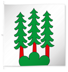 Bettwil