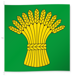 Birmenstorf