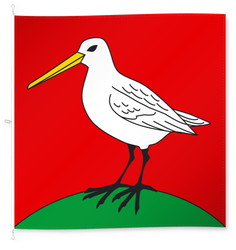Boniswil