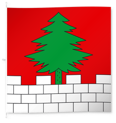 Bottenwil