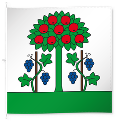 Magden