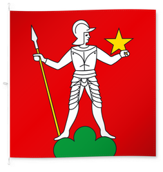 Menziken
