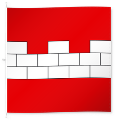 Muri