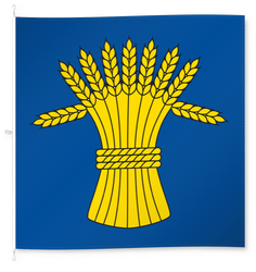 Rüfenach