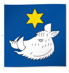 Safenwil