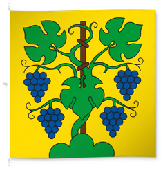 Zeiningen