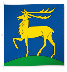 Oberehrendingen