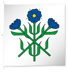 Oberflachs