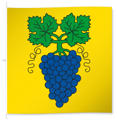 Lutzenberg